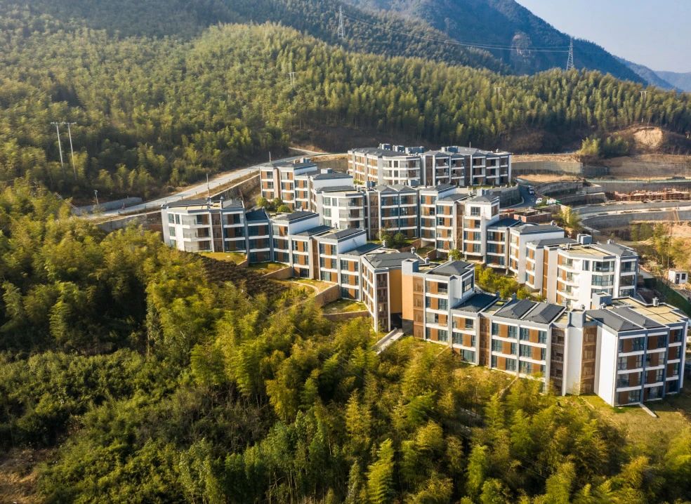 29ff910296faa08d26d304ee7eb8f13c